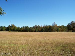 Breedlove Road, Michigan City, MS 38647