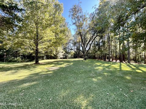 2088 Stegall Rd, Wesson, MS 39191 photo 52