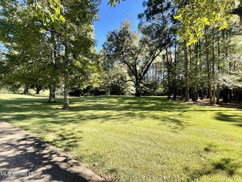 2088 Stegall Rd, Wesson, MS 39191 photo 56