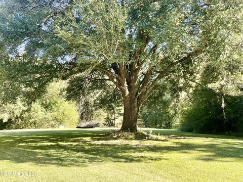 2088 Stegall Rd, Wesson, MS 39191 photo 54