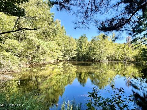 2088 Stegall Rd, Wesson, MS 39191 photo 55