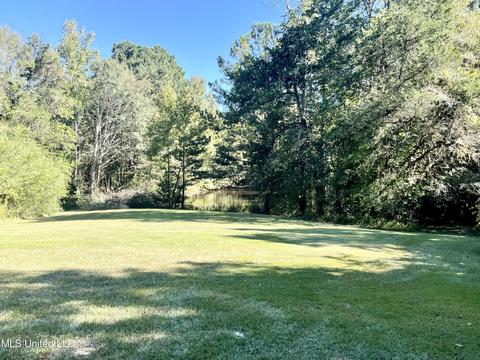 2088 Stegall Rd, Wesson, MS 39191 photo 53