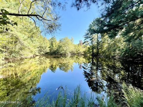 2088 Stegall Rd, Wesson, MS 39191 photo 7