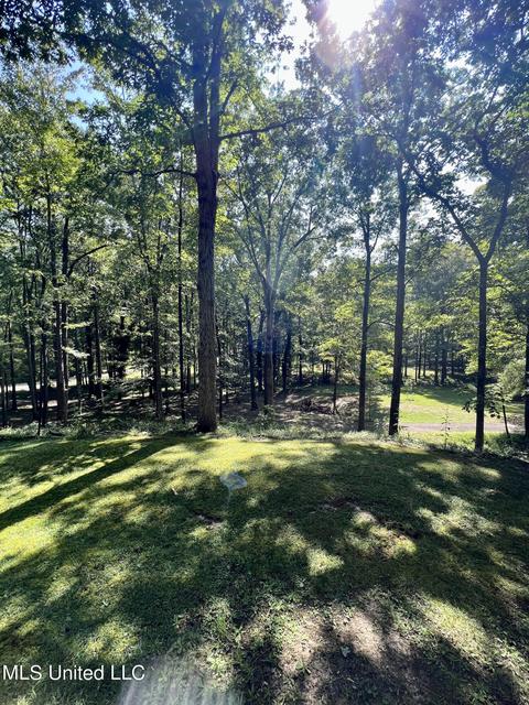 315 Harris Rd, Grenada, MS 38901 photo 2