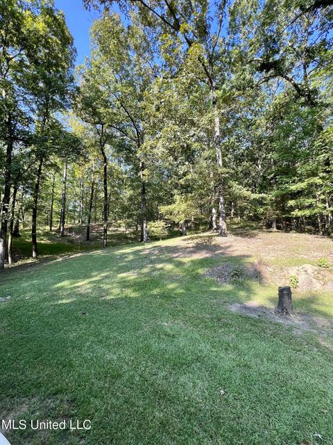 315 Harris Rd, Grenada, MS 38901 photo 17