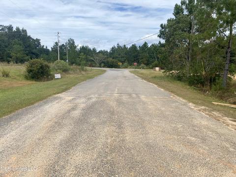 7 Colony Rd, Mchenry, MS 39561 photo 17