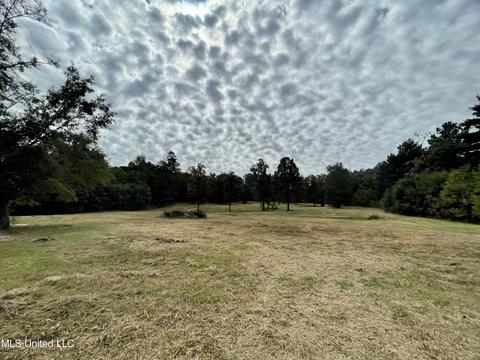 2399 Green Gable Rd, Terry, MS 39170 photo 56