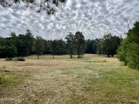 2399 Green Gable Rd, Terry, MS 39170 photo 35