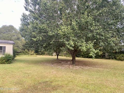 36 Pine Trl, Perkinston, MS 39573 photo 2