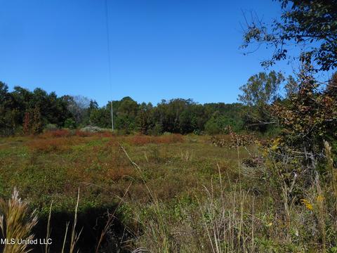 9890 Scotland Rd, Benton, MS 39039 photo 6