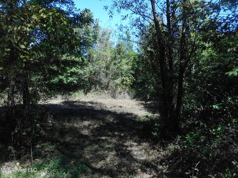 9890 Scotland Rd, Benton, MS 39039 photo 11