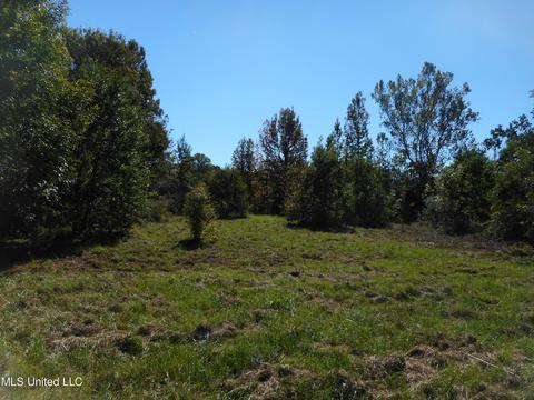 9890 Scotland Rd, Benton, MS 39039 photo 3