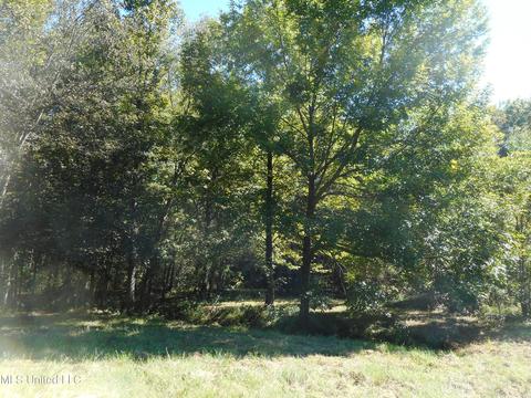 9890 Scotland Rd, Benton, MS 39039 photo 2