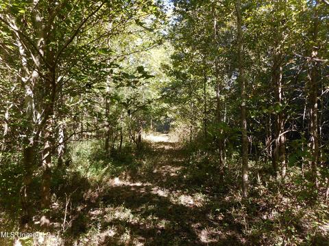 9890 Scotland Rd, Benton, MS 39039 photo 15