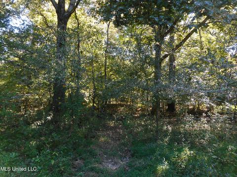 9890 Scotland Rd, Benton, MS 39039 photo 17