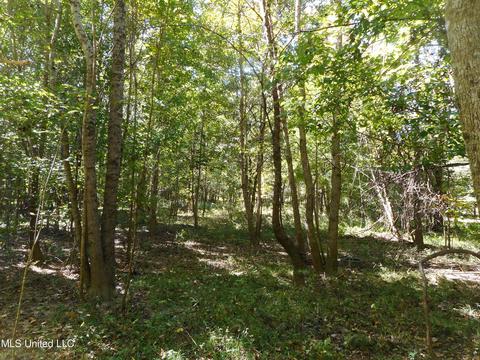 9890 Scotland Rd, Benton, MS 39039 photo 18
