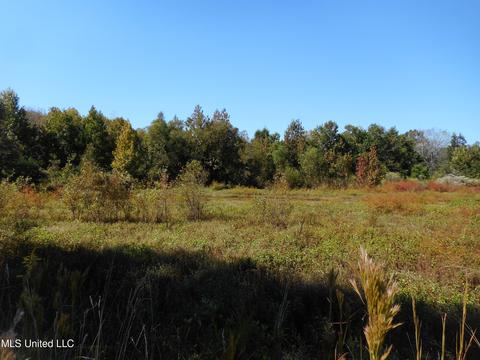 9890 Scotland Rd, Benton, MS 39039 photo 7
