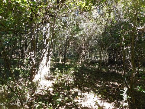 9890 Scotland Rd, Benton, MS 39039 photo 14