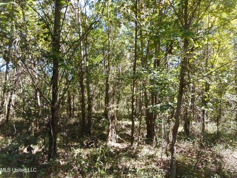 9890 Scotland Rd, Benton, MS 39039 photo 10