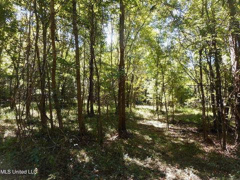 9890 Scotland Rd, Benton, MS 39039 photo 19