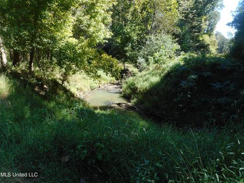 9890 Scotland Rd, Benton, MS 39039 photo 12