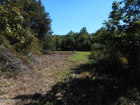 9890 Scotland Rd, Benton, MS 39039 photo 5