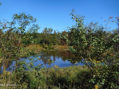 9890 Scotland Rd, Benton, MS 39039 photo 8