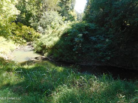 9890 Scotland Rd, Benton, MS 39039 photo 13