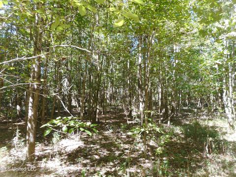 9890 Scotland Rd, Benton, MS 39039 photo 16