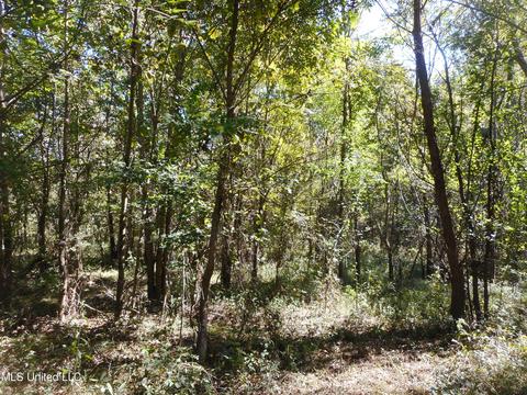 9890 Scotland Rd, Benton, MS 39039 photo 9