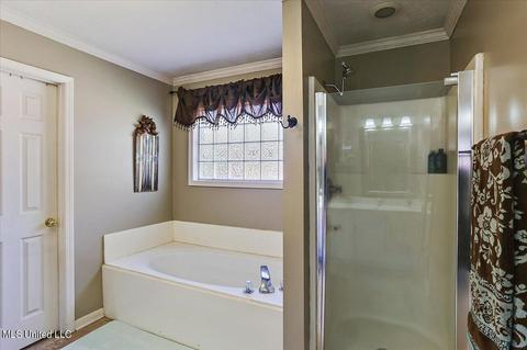 255 Mallard Dr, Brandon, MS 39047 photo 29