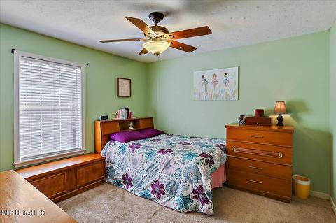 255 Mallard Dr, Brandon, MS 39047 photo 33