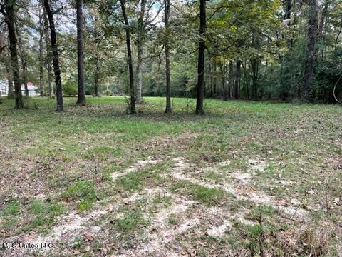 9735 Clifton Rd, Forest, MS 39074 photo 10