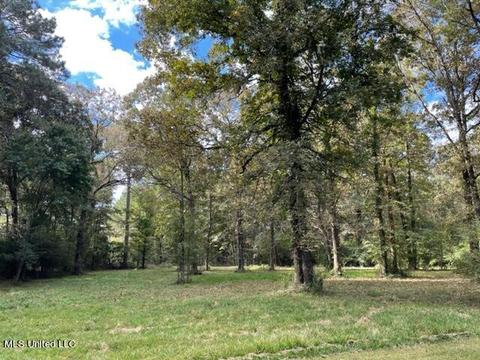 9735 Clifton Rd, Forest, MS 39074 photo 9