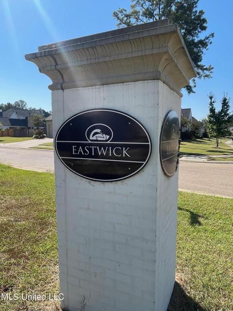 100 Eastwick Bnd, Madison, MS 39110 photo 5