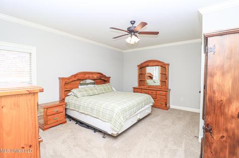 423 Julee Cir, Brandon, MS 39042 photo 18