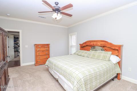 423 Julee Cir, Brandon, MS 39042 photo 19