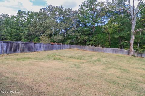 423 Julee Cir, Brandon, MS 39042 photo 27