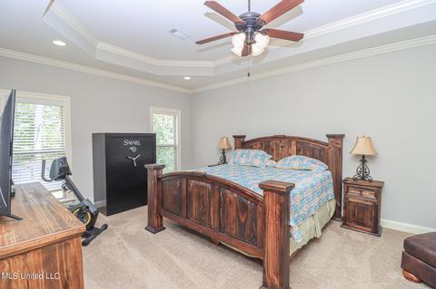423 Julee Cir, Brandon, MS 39042 photo 10