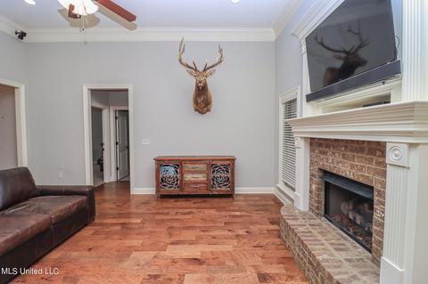 423 Julee Cir, Brandon, MS 39042 photo 3