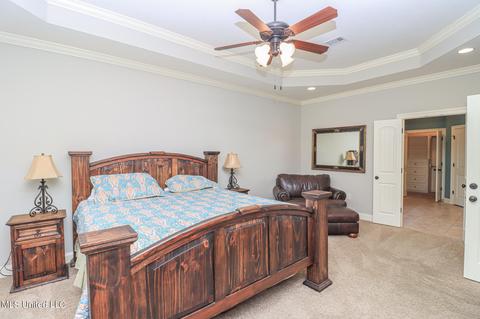 423 Julee Cir, Brandon, MS 39042 photo 11