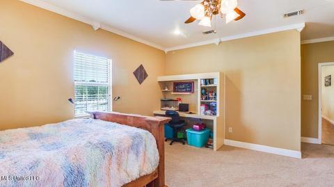 250 Ccc Rd, Perkinston, MS 39573 photo 19