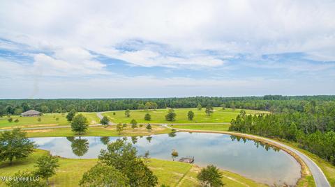 250 Ccc Rd, Perkinston, MS 39573 photo 3