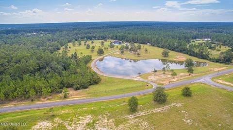 250 Ccc Rd, Perkinston, MS 39573 photo 5