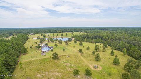 250 Ccc Rd, Perkinston, MS 39573 photo 4