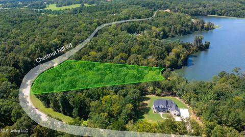 138 Chestnut Hill Rd, Flora, MS 39071 photo 11