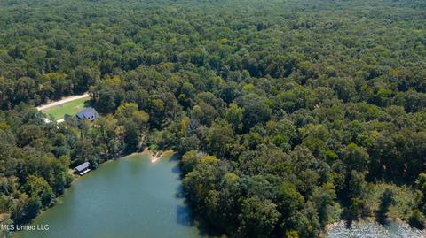 138 Chestnut Hill Rd, Flora, MS 39071 photo 12