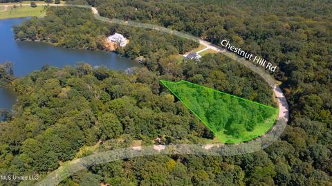 138 Chestnut Hill Rd, Flora, MS 39071 photo 4