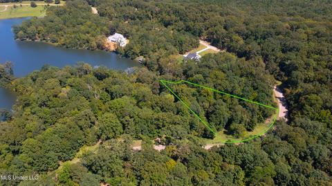 138 Chestnut Hill Rd, Flora, MS 39071 photo 3