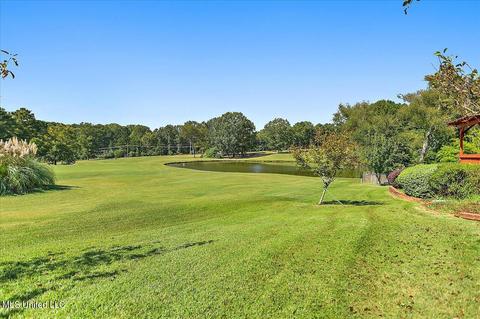 404 Ruby Cv, Madison, MS 39110 photo 47